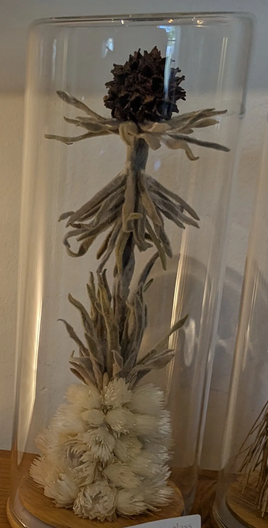A dried flower sculpture with white everlastings and a dark seed head under a tall glass dome