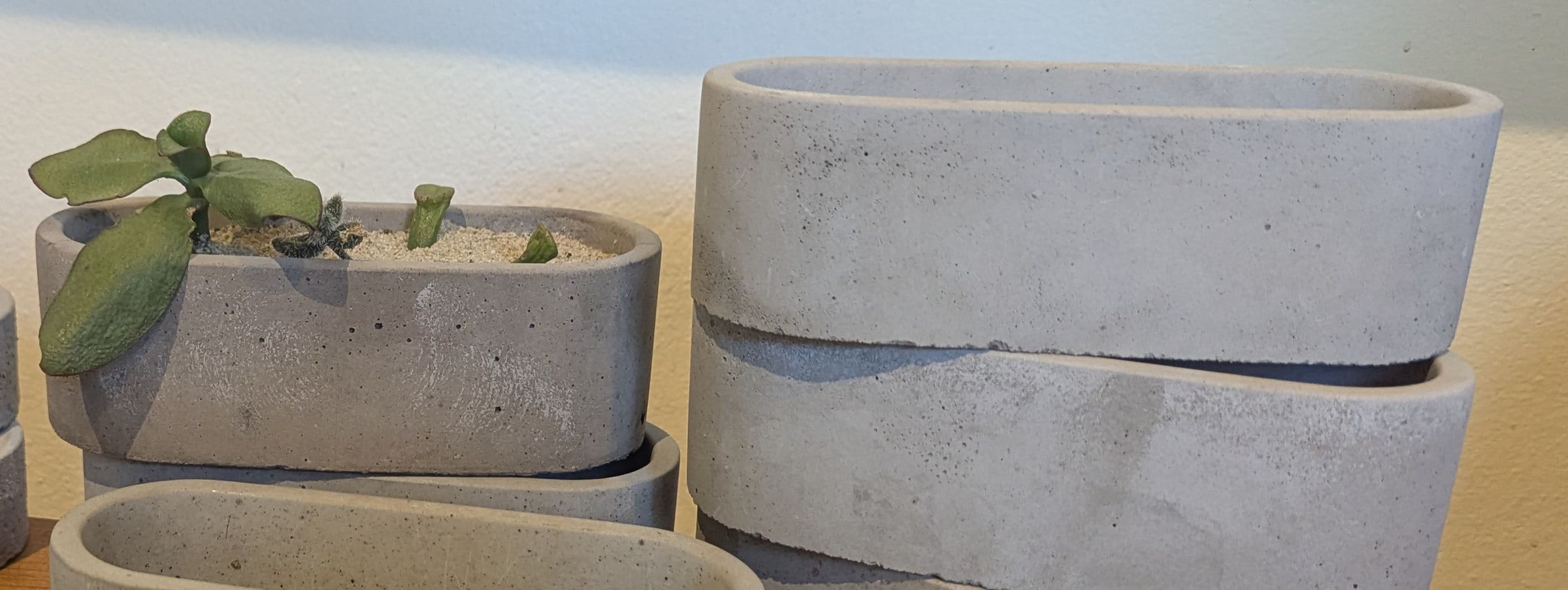 Grey cast concrete planters, one planted with a succulent