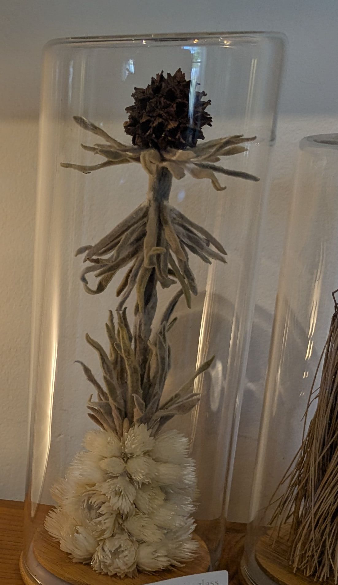 A dried flower sculpture under a tall glass dome